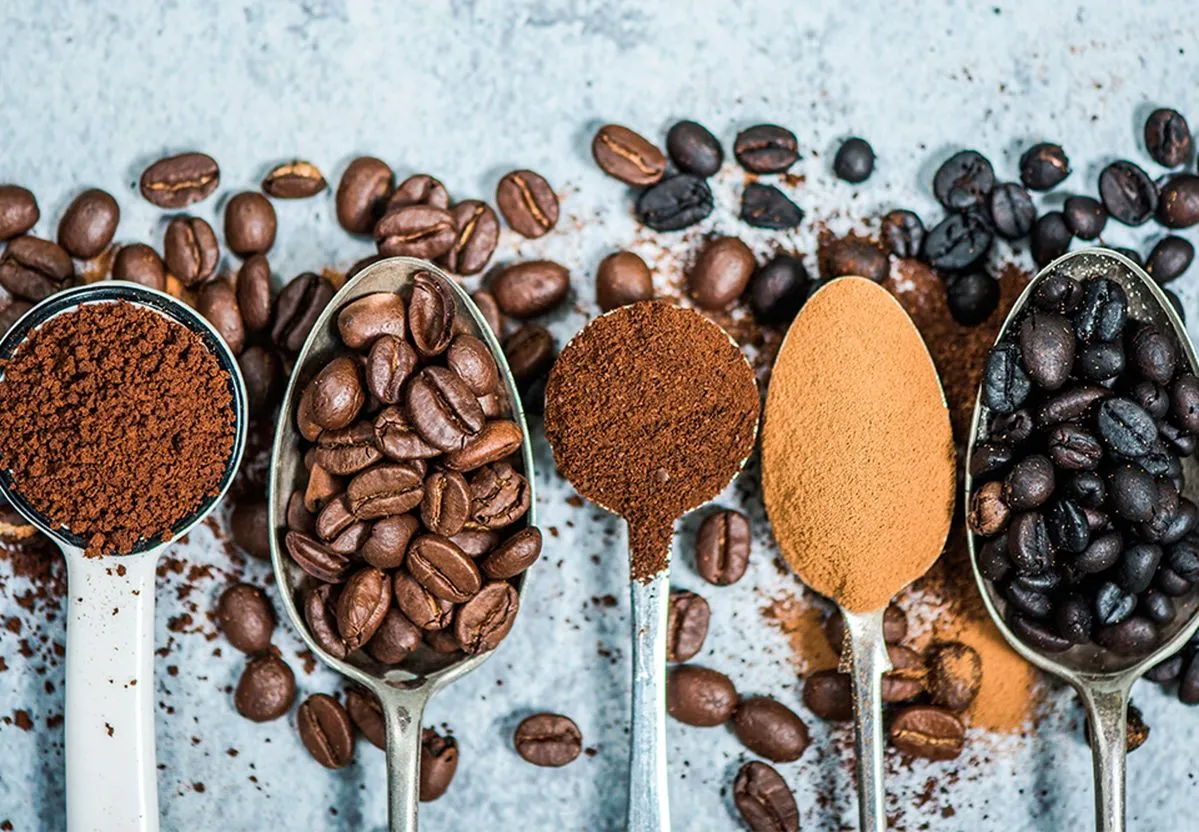 Phân biệt hai loại cà phê Robusta và Arabica